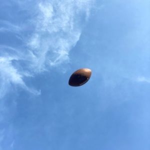 Meet your Posher, Avery